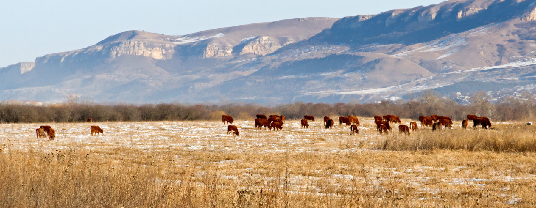 People attending business meeting